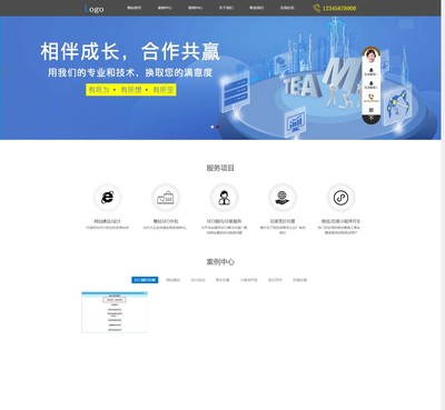 企業網站通用建站案例